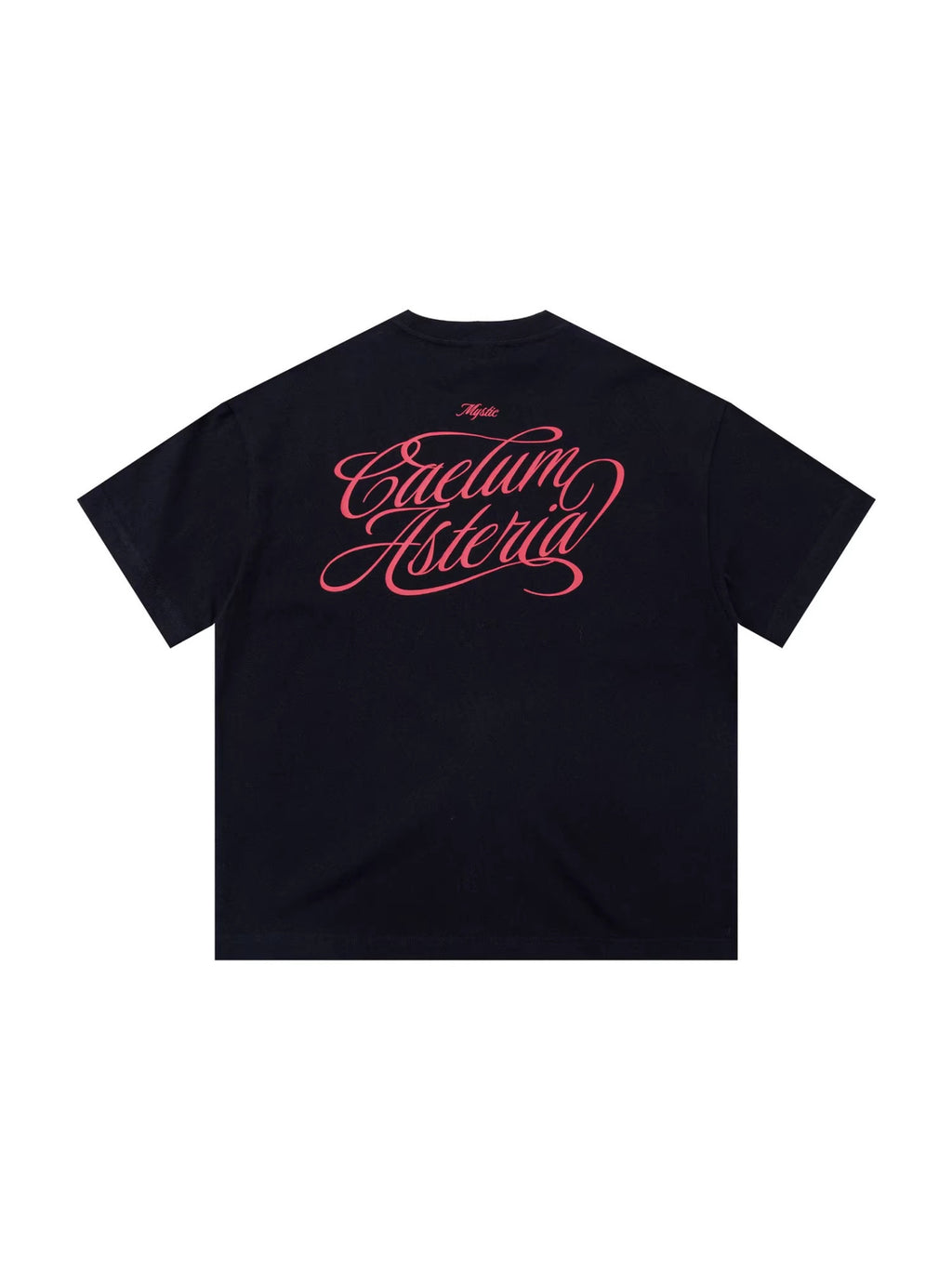 Premium Japanese Retro T-Shirt